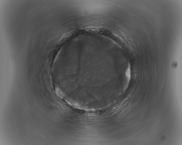 X0000094811297200712141613