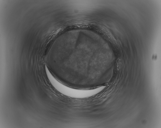 X0000094811298200712141613