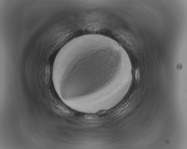 X0000094811299200712141613