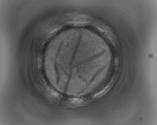 X0000094811300200712141613