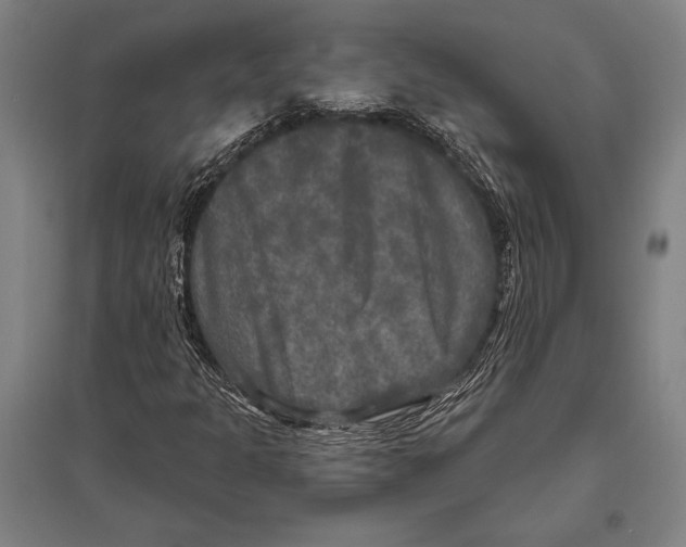 X0000094811301200712141613