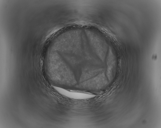 X0000094811302200712141613