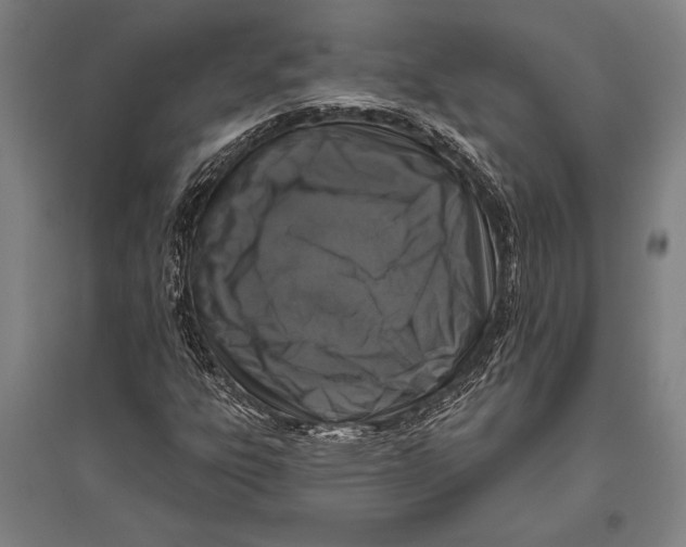 X0000094811303200712141613