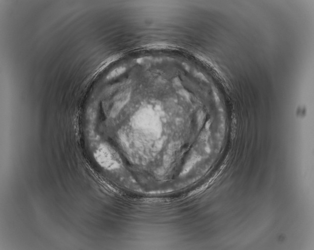 X0000094811305200712141613