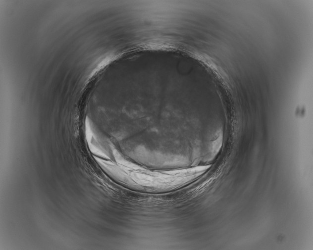 X0000094811306200712141613