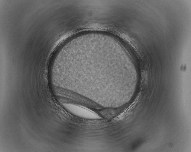 X0000094811307200712141613