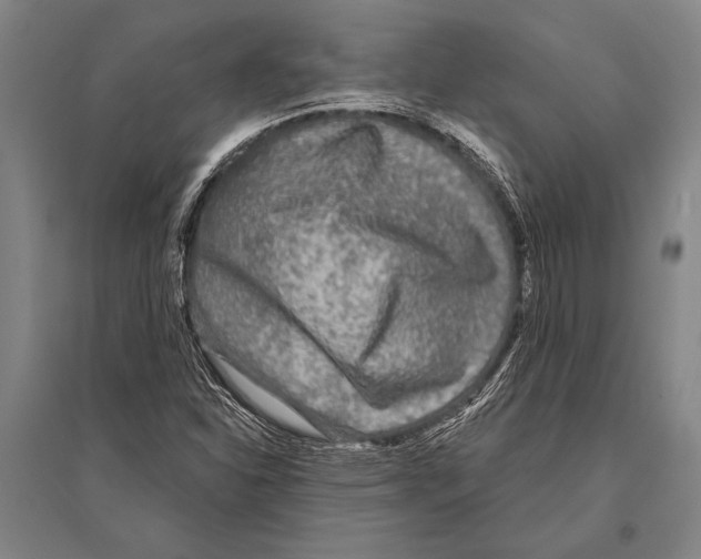 X0000094811310200712141613