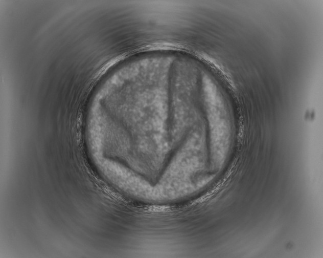 X0000094811313200712141613