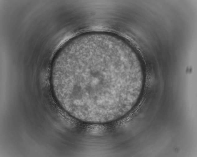 X0000094811314200712141613