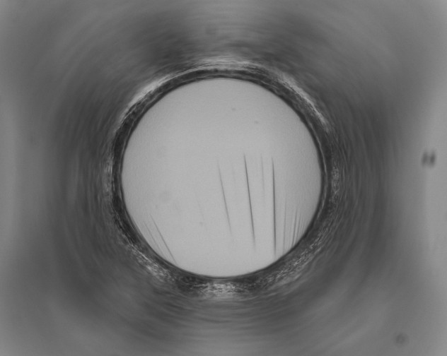 X0000094811315200712141613