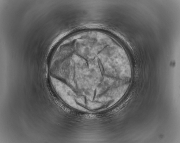 X0000094811317200712141613