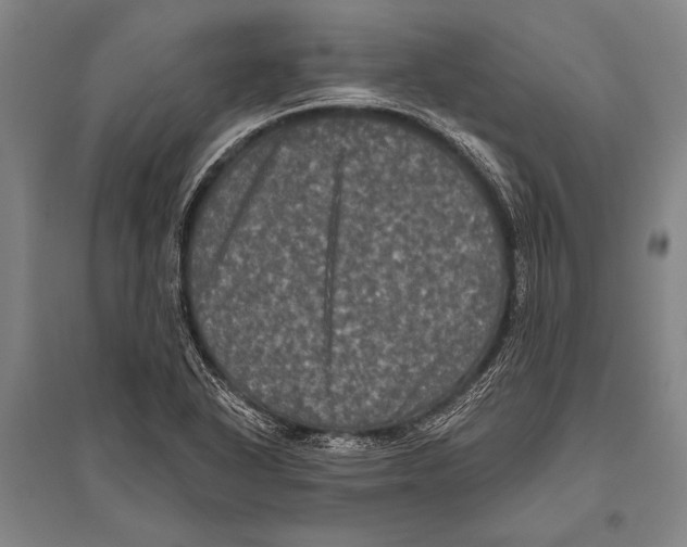 X0000094811318200712141613