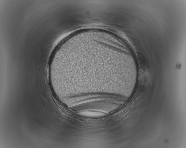 X0000094811320200712141613