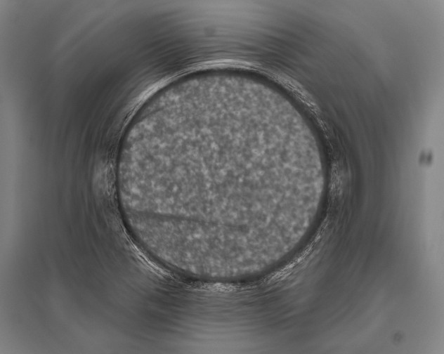 X0000094811321200712141613