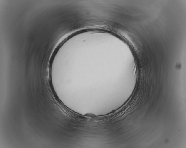 X0000094811324200712141613