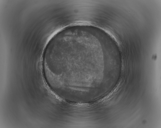 X0000094811325200712141613