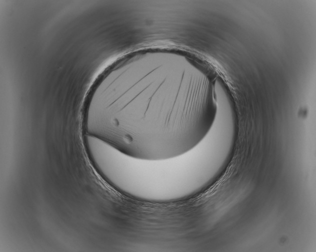 X0000094811326200712141613