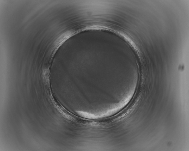 X0000094811329200712141613