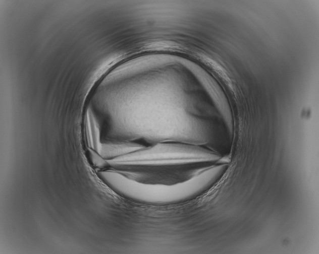 X0000094811330200712141613