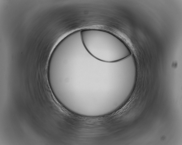 X0000094811332200712141613