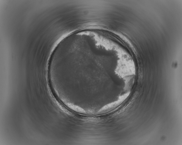 X0000094811333200712141613