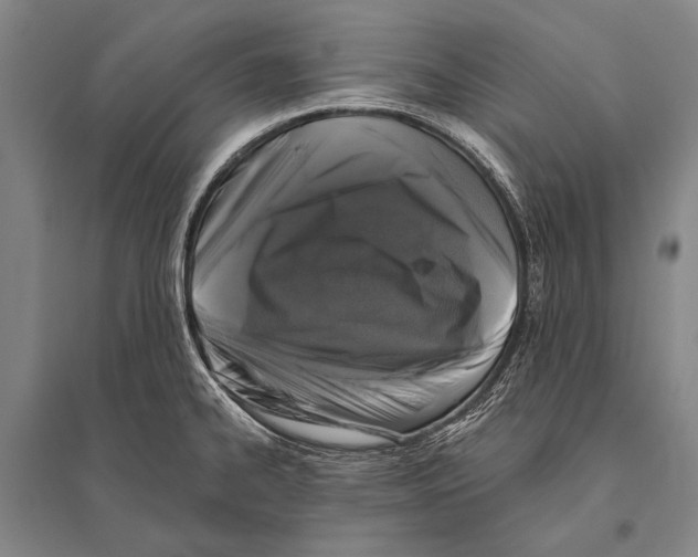 X0000094811334200712141613