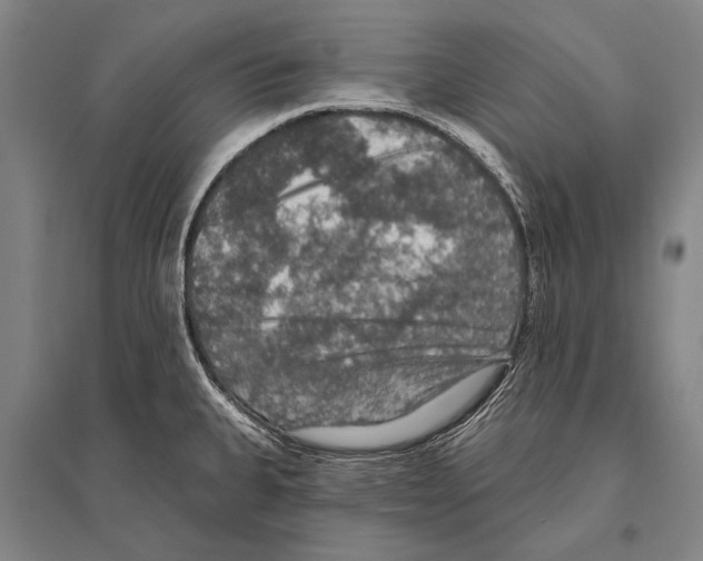 X0000094811335200712141613