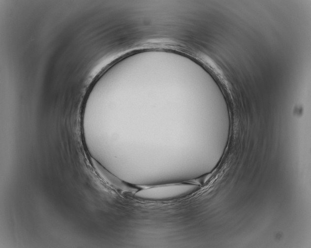 X0000094811336200712141613