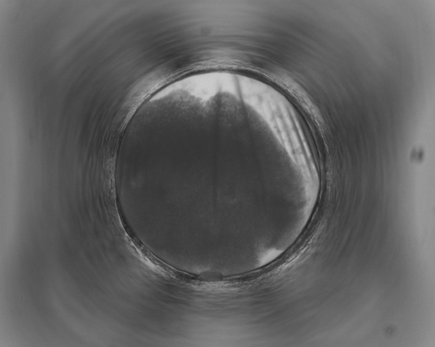 X0000094811337200712141613