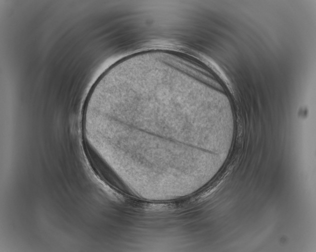 X0000094811339200712141613