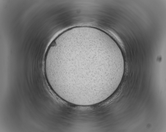 X0000094811340200712141613