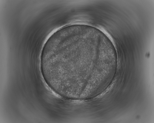 X0000094811341200712141613