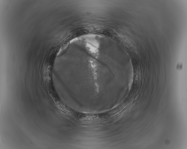 X0000094811346200712141613