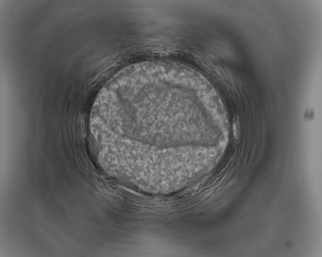 X0000094811347200712141613