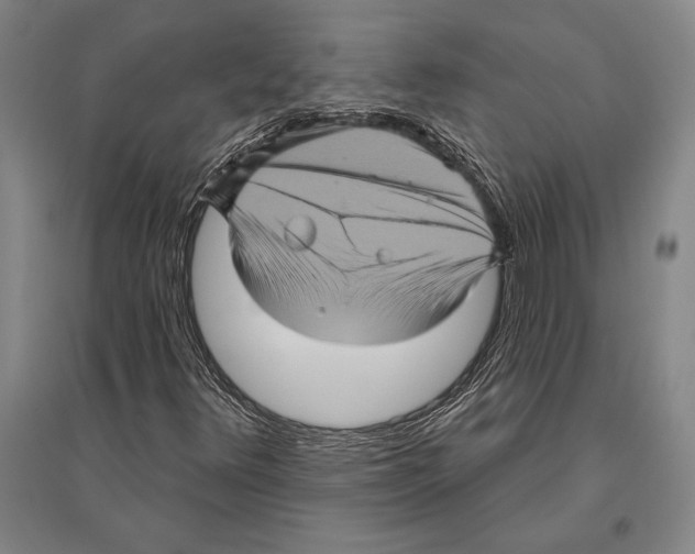 X0000094811348200712141613