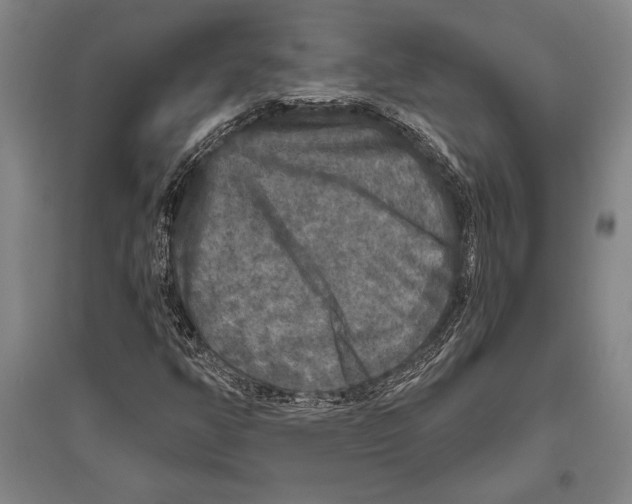 X0000094811350200712141613