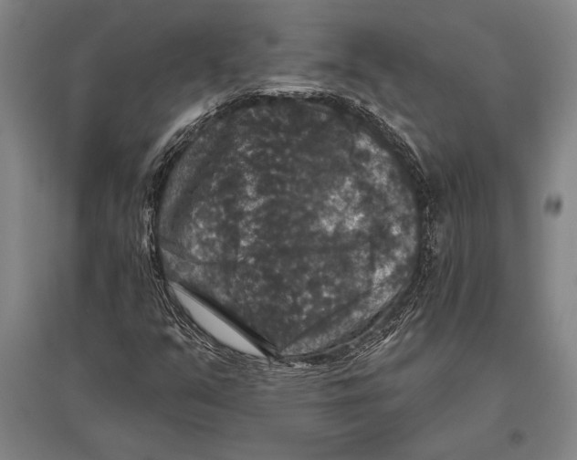 X0000094811351200712141613