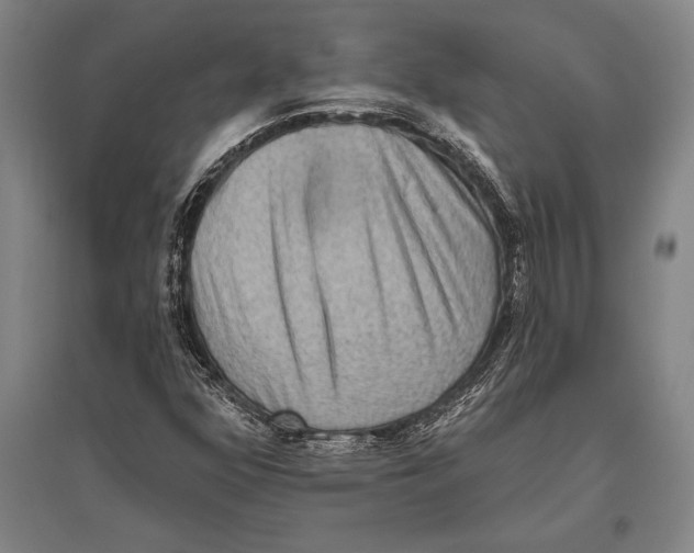 X0000094811352200712141613