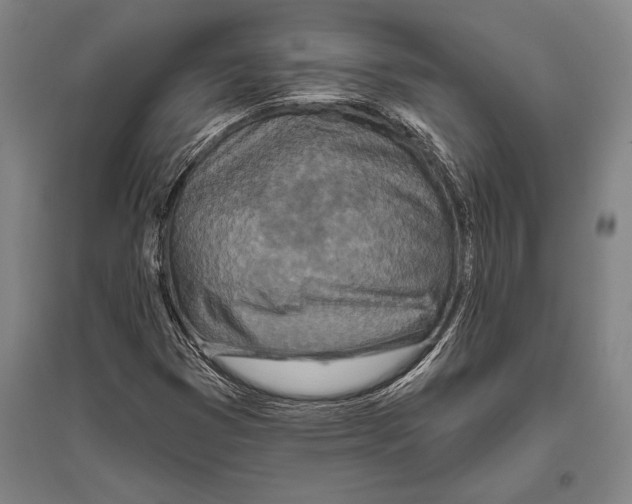 X0000094811353200712141613