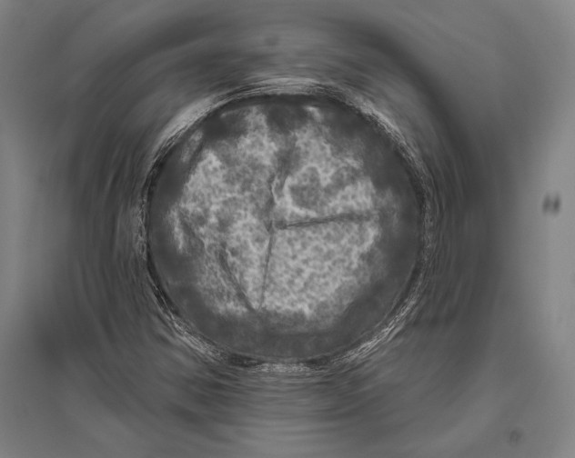 X0000094811354200712141613