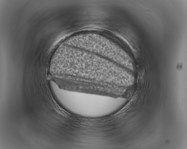 X0000094811355200712141613