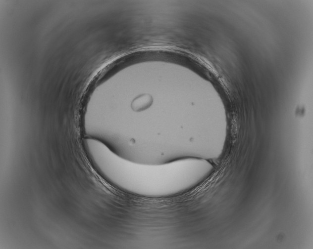 X0000094811356200712141613