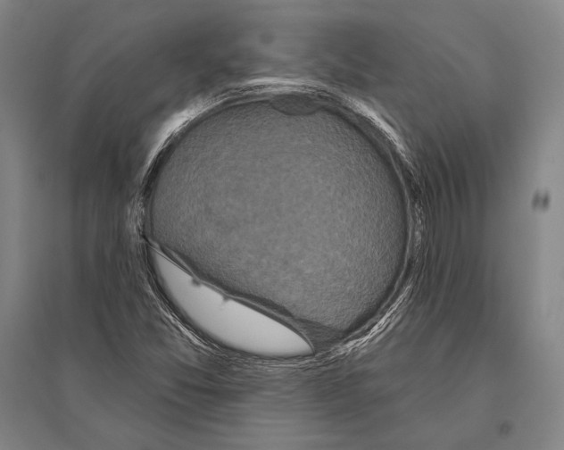 X0000094811357200712141613