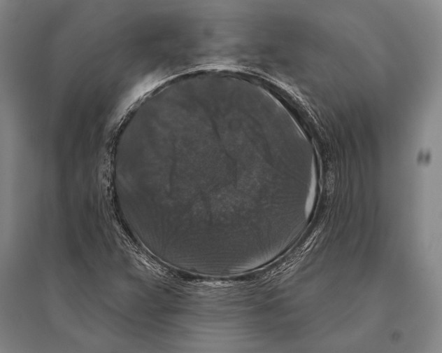 X0000094811359200712141613