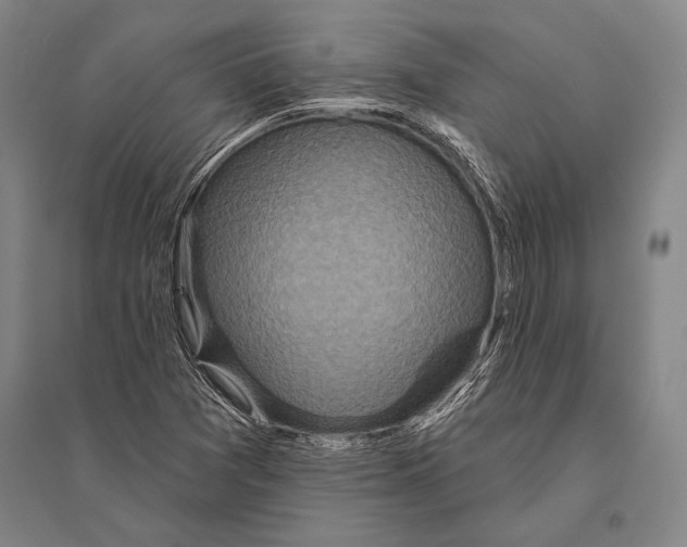 X0000094811361200712141613