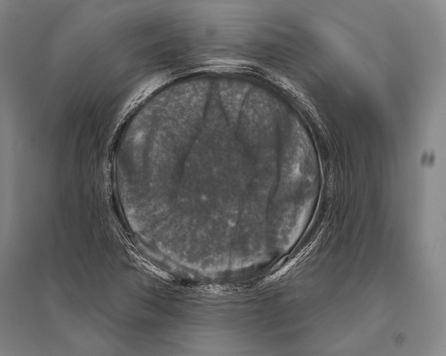 X0000094811362200712141613