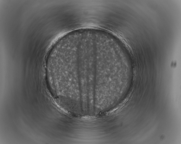 X0000094811363200712141613