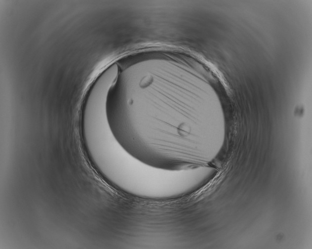 X0000094811365200712141613