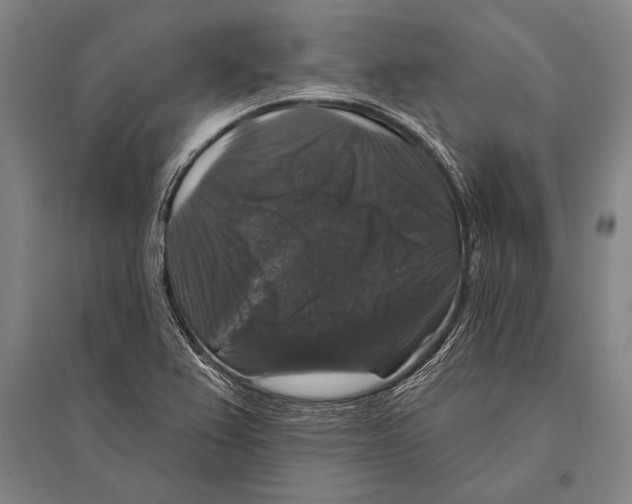 X0000094811367200712141613