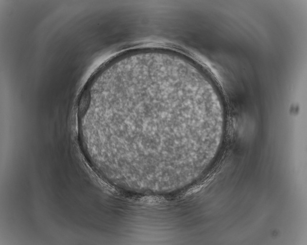 X0000094811368200712141613